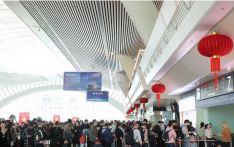 China's Spring Festival travel rush passes halfway mark with 5.08 bln trips