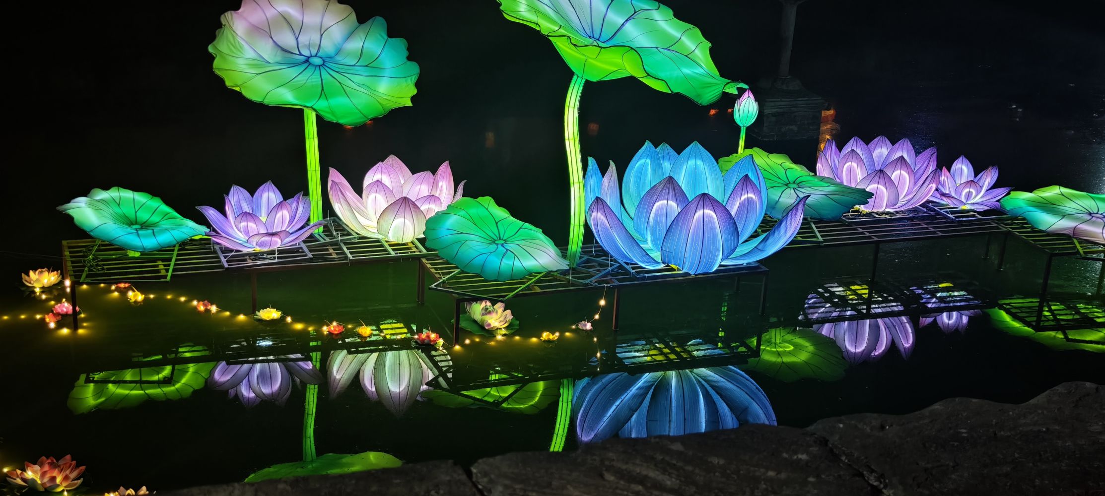 微信图片_20260222190146_310_170