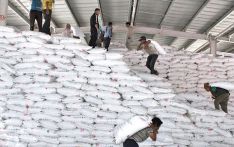 Over 480,000 tonnes of fertiliser imported in current fiscal year