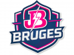 Janakpur Bolts acquire franchise in Belgium’s EU T20 League