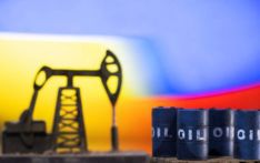 रुसी तेल किनिरहने भारतको अडान