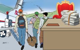 छ हजार आठ सयभन्दा बढी उजुरी