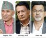 पुनबाहेक सबै पूर्व अर्थमन्त्री पराजित