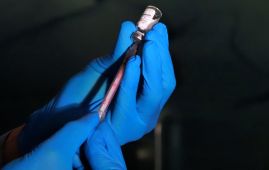 Is India about to make Ozempic-like weight-loss drugs a whole lot cheaper?