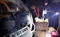 ठूलो परिमाणको गाँजासहित भारतीय कार नियन्त्रणमा