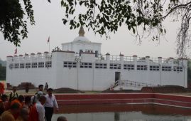 【视频】蓝毗尼国际和平节系列活动启幕 欢迎晚宴与禅修活动共传和平之声