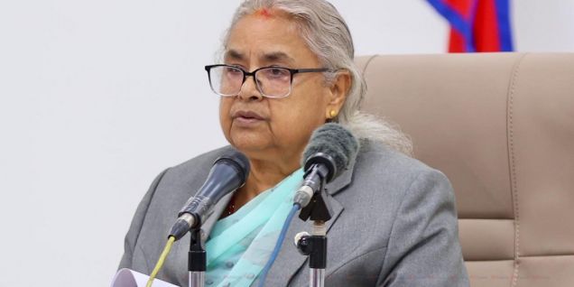 尼总理卡尔基致谢选举相关方 赞扬马德西省众议院选举平稳举行