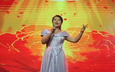 【视频】第三届蓝毗尼国际和平节音乐会:《节日欢歌》《芦花》