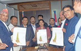 ‘सेतो मत्स्येन्द्रनाथको रथयात्रा’ माथि वृत्तचित्र