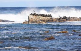 观天下丨船舶绕行好望角成常态　燃油供应商加速在非洲投资