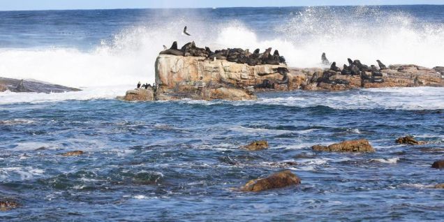 观天下丨船舶绕行好望角成常态　燃油供应商加速在非洲投资