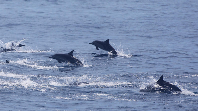 ScreenShot_2026-03-26_103306_687