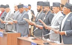 尼泊尔274名众议院新议员正式就职 母语宣誓成亮点 议会格局迎新变化