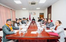 尼泊尔沙阿政府公布百项工作计划，多项改革同步推进