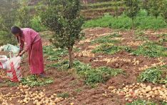 Farmer Field School promotes farming