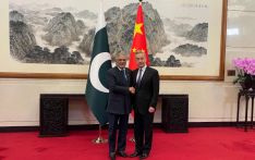Chinese, Pakistani foreign ministers hold talks on Iran situation