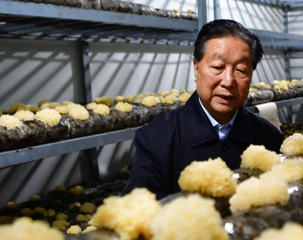 屏幕截图 2026-04-02 152023