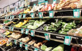 Germany slashes growth forecast amid Iran war