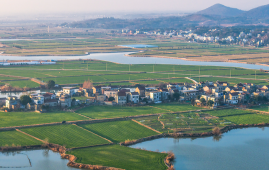 Chinese vice premier calls for further modernization of water networks