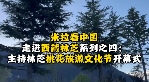 视频| 米拉看中国 走进西藏林芝系列之四——主持林芝桃花旅游文化节开幕式