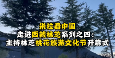 视频| 米拉看中国 走进西藏林芝系列之四——主持林芝桃花旅游文化节开幕式