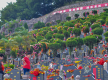 China mourns fallen heroes during Qingming Festival