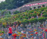 China mourns fallen heroes during Qingming Festival