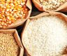 Cereal imports down; bill totals Rs. 39.64B