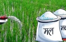 मध्यपूर्व द्वन्द्वको असरः भारतले मल आयात बढाउँदै