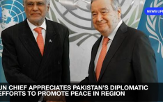 Pakistani PM thanks UN chief for endorsing Pakistan's peace efforts