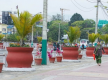 加德满都街头增设花盆绿化改善市容
