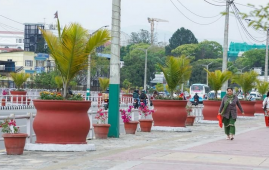 加德满都街头增设花盆绿化改善市容
