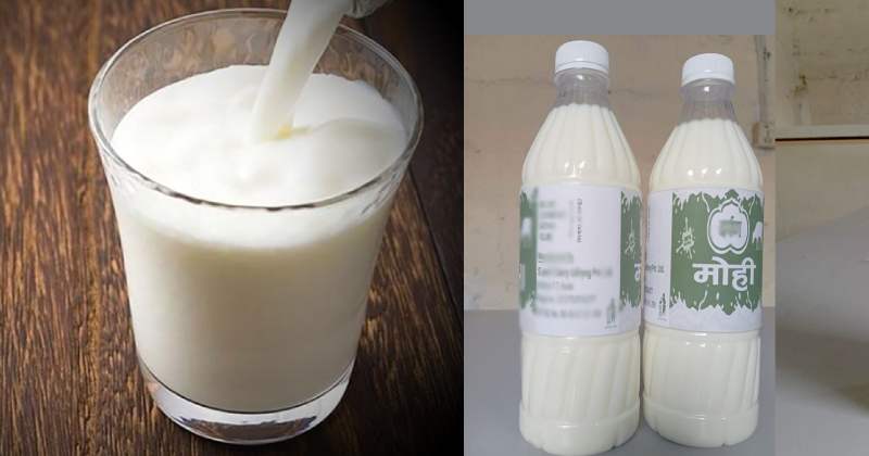 New-Project-2025-04-10T174603.050