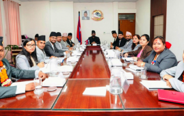 尼泊尔政府公布内阁财产详情：从“亿级资本”到“20只鸡”