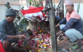 धनकुटाका आठपहरियाद्वारा बिसु चाड मनाइँदै