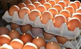उत्पादनमा कमी आएपछि अण्डाको मूल्य बढ्यो
