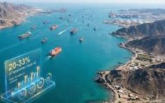 स्ट्रेट अफ हर्मुजमा इरानको कडाइ : छिमेकी मुलुकको निर्यात ठप्प