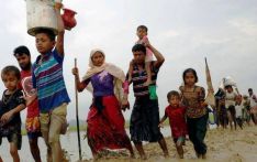 सन् २०२५ मा नौ सय रोहिंग्या शरणार्थीको मृत्यु