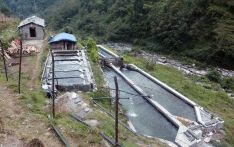 माछापालनमा भविष्य खोज्दै जुम्ली युवा