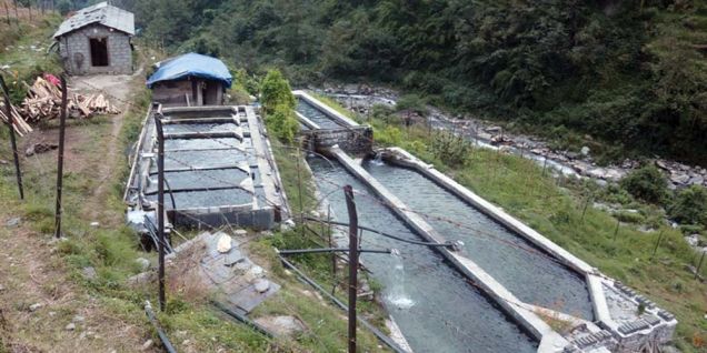 माछापालनमा भविष्य खोज्दै जुम्ली युवा