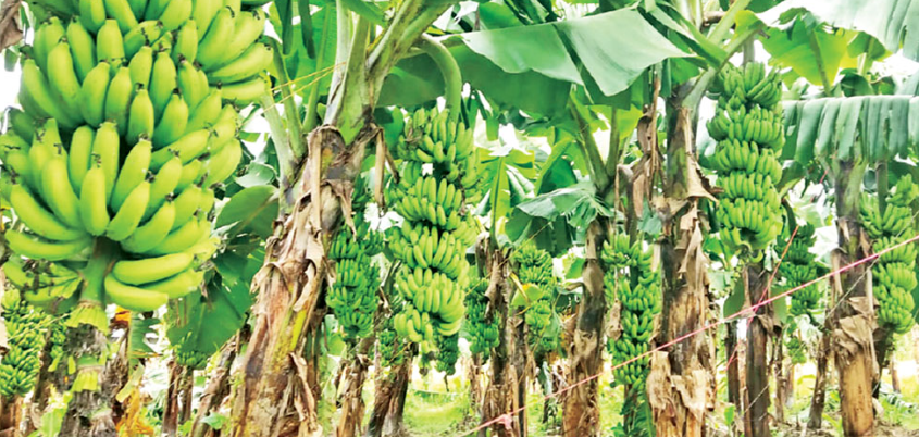 屏幕截图 2026-04-19 135255