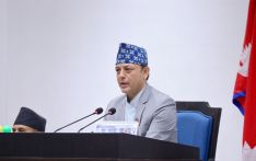 कानुन निर्माण ढिलो हुने छैन : सभामुख