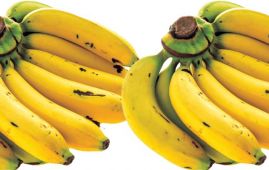 अचाक्ली बढ्यो केराको भाउ