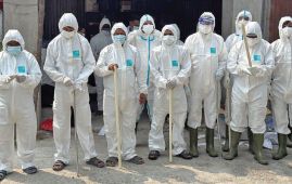 Poultry sector losses Rs. 500M due to bird flu