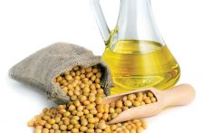 प्रशोधित तेलको निर्यात एक खर्ब नाघ्यो