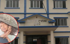 尼泊尔杜哈比强拆事件：节日清晨，推土机与一棵树下的女人