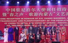 草原天籁融雪域 科技人文续华章：中国驻尼使馆举办张茂明大使到任招待会暨内蒙古专场文艺汇演