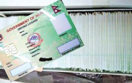 स्मार्ट लाइसेन्स आज हस्तान्तरण गरिने