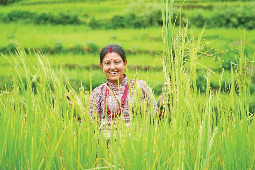 srijana-adhikari-main-story