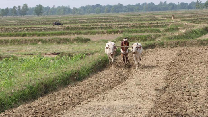 屏幕截图 2026-04-28 123724